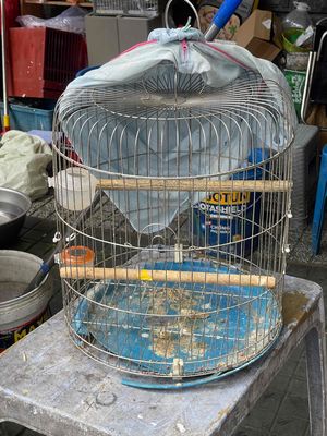 Lòng inox. Mua bán Phụ kiện, Thức ăn, Dịch vụ tại Quận Phú Nhuận Tp Hồ Chí Minh được đăng bởi heri