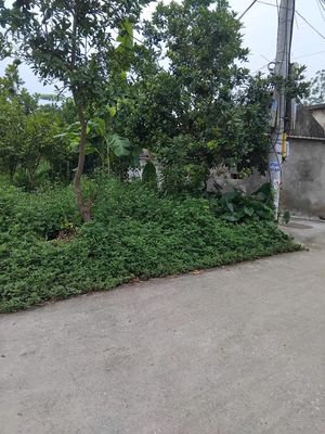 Bán lô góc mặt 9,6m, 290m2 ,3.6tỷ tại Mộc Bắc Duy Tiên Hà Nam. Mua bán đất tại Thị xã Duy Tiên Hà Nam được đăng bởi trinhphuong son