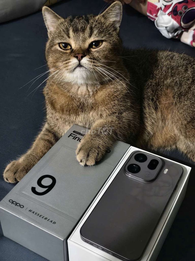 Oppo Find X9 Pro 512GB Chocolate Like new. Mua bán Điện thoại tại Quận Ninh Kiều Cần Thơ được đăng bởi Quang Dũng hình 1