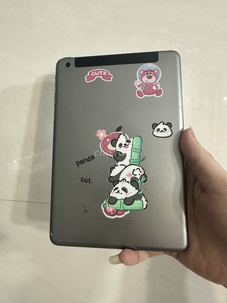 cần pass lại ipad mini2 4G full chức năng