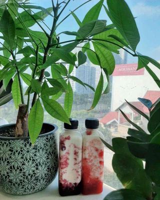 Sữa chua nhà làm. Mua bán Đồ ăn, thực phẩm và các loại khác tại Quận Bình Tân Tp Hồ Chí Minh được đăng bởi Hoàng Mai