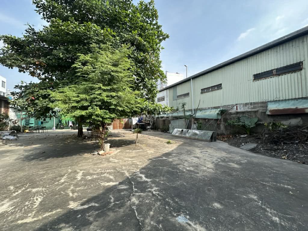 Cho thuê đất trống 1000m2 tại Tân Phú
