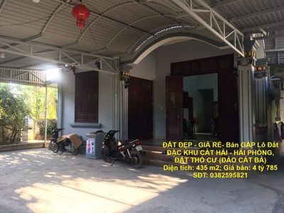 Bán Gấp Lô Đất ĐẶC KHU CÁT HẢI - HẢI PHÒNG,  ĐẤT THỔ CƯ (ĐẢO CÁT BÀ). Mua bán đất tại Huyện Cát Hải Hải Phòng được đăng bởi Chính Chủ