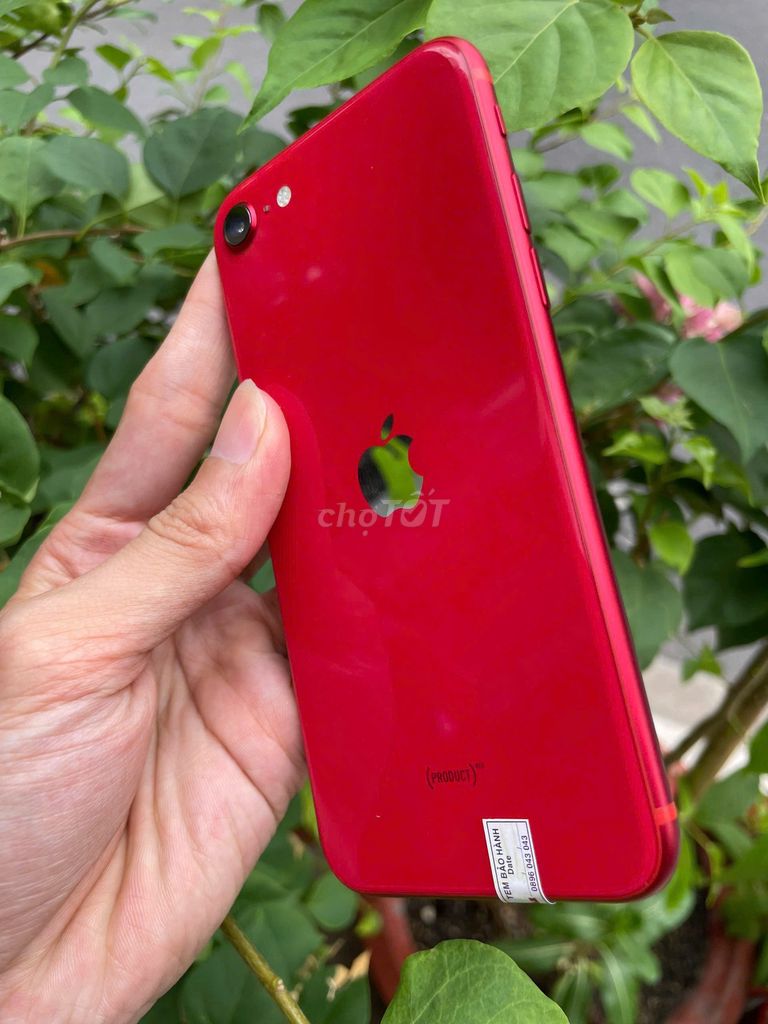 Apple iPhone SE 2 128GB Đỏ tươi. Mua bán Điện thoại tại Quận Bình Tân Tp Hồ Chí Minh được đăng bởi Danh hình 1