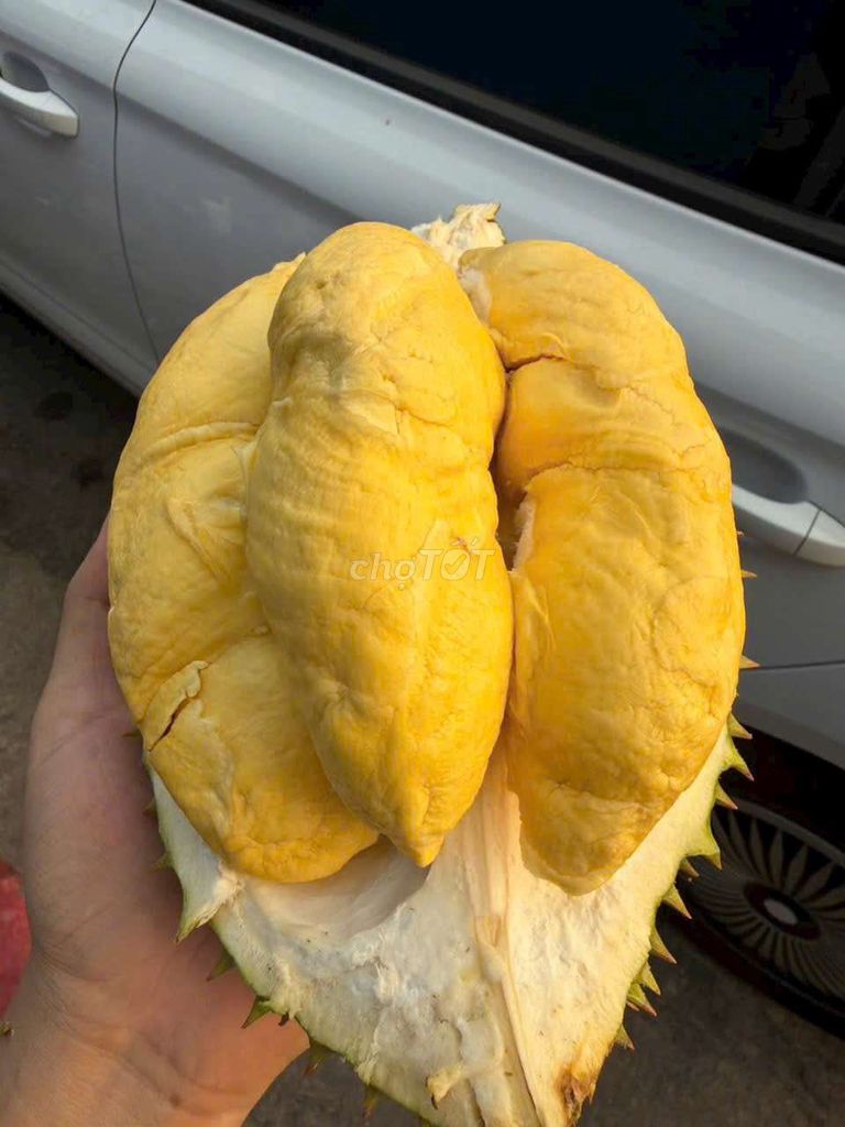Sầu riêng Ri6. Mua bán Đồ ăn, thực phẩm và các loại khác tại Thị xã Tân Uyên Bình Dương được đăng bởi Bửu hình 1