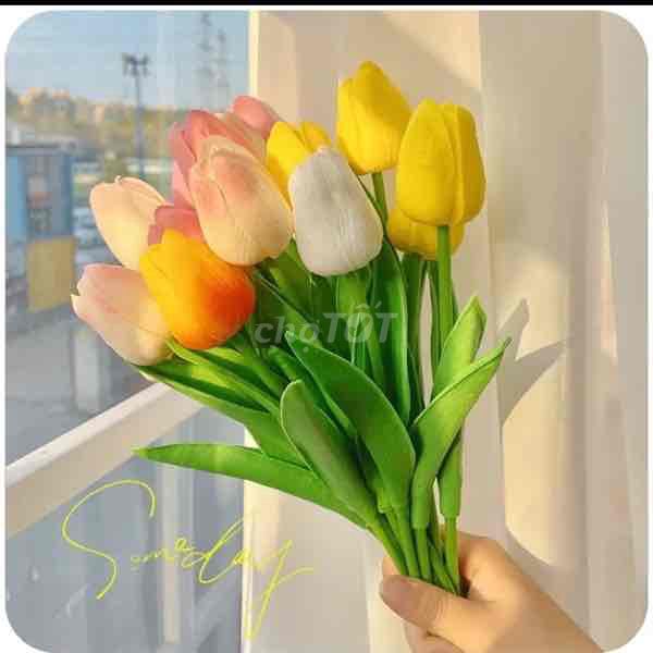 Hoa tulip xốp