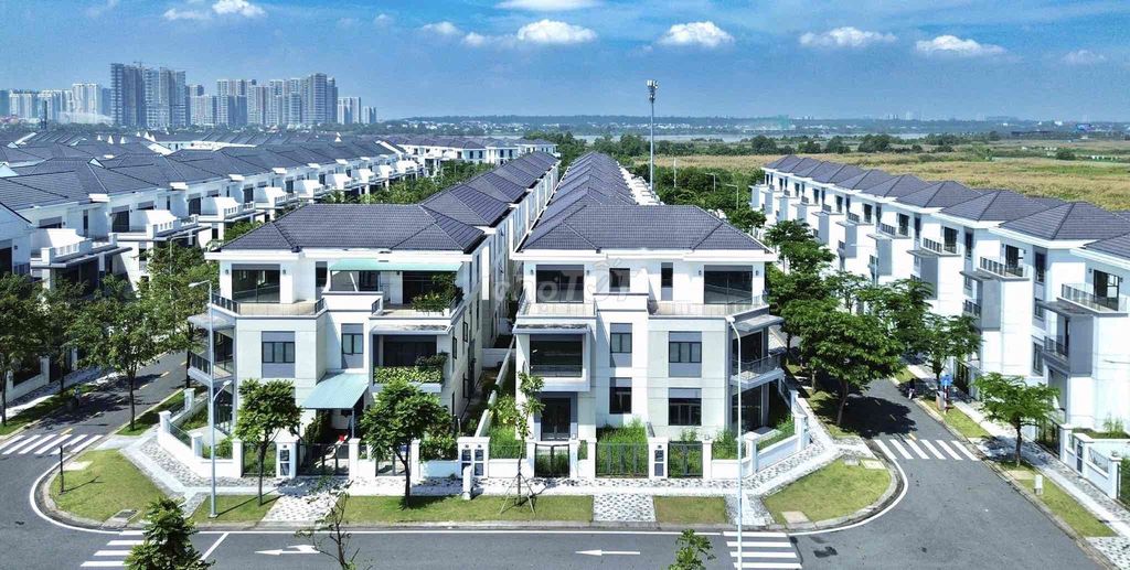 Tổng Hợp Giỏ Hàng Chuyển Nhượng Aqua City 2026 Hỗ Trợ Trực Tiếp Từ CĐT