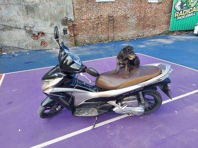 Bán xe Honda Airblade mầu đen chính chủ còn tốt. Mua bán Xe máy tại Quận Hai Bà Trưng Hà Nội được đăng bởi Xúy