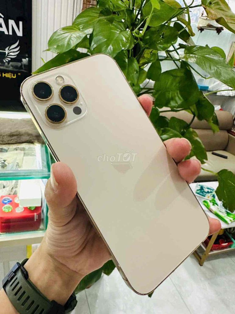 iphone 12 Pro Max 128G Gold Quốc tế Mỹ zin chất đẹ. Mua bán Điện thoại tại Thành phố Biên Hòa Đồng Nai được đăng bởi Oanh Hoang hình 1