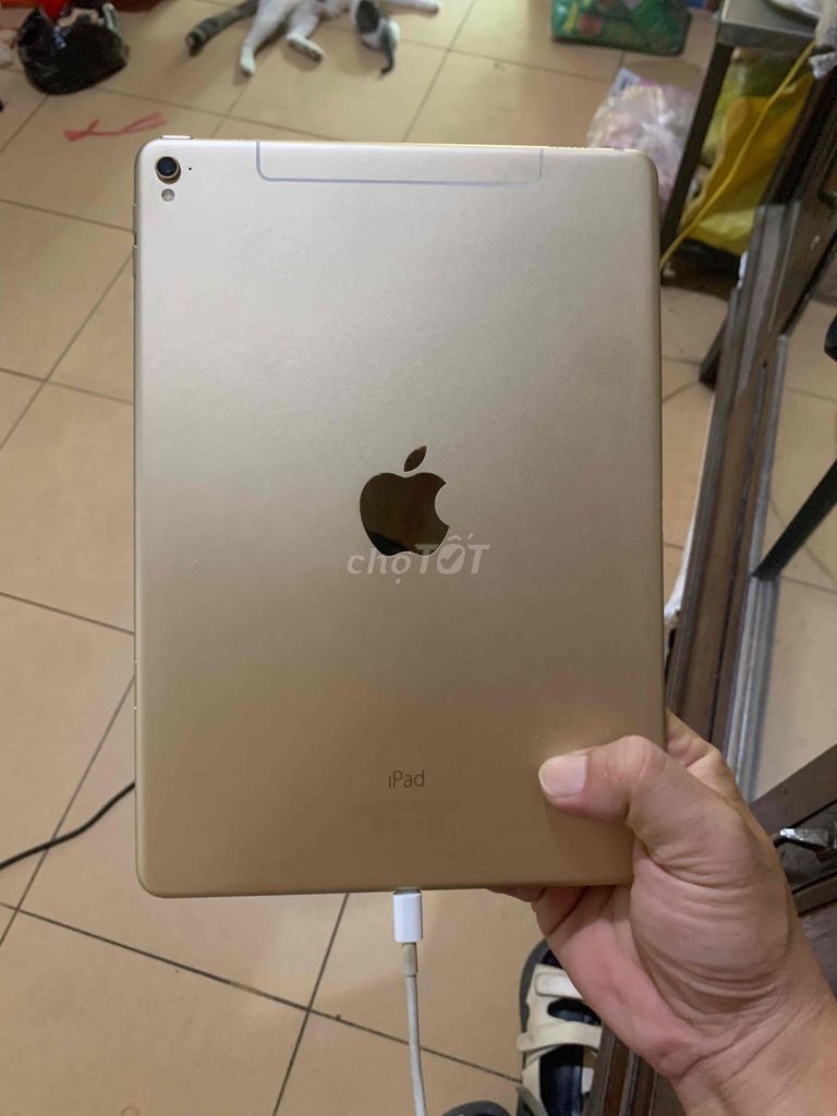 Apple iPad Pro 9.7 inch 128GB Vàng. Mua bán Máy tính bảng tại Thành phố Thủ Đức Tp Hồ Chí Minh được đăng bởi jony nguyễn hình 1