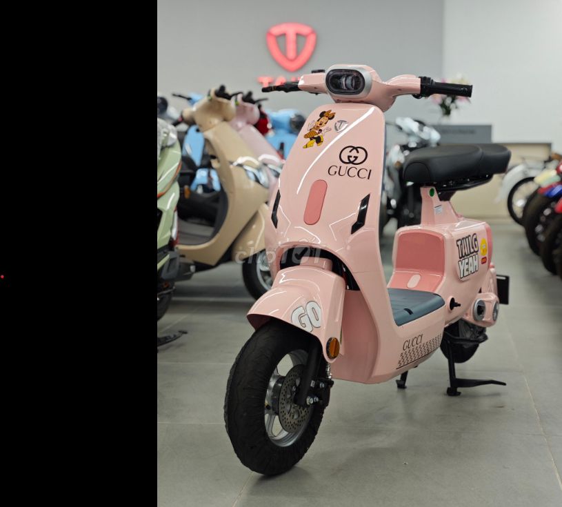 Xe đạp điện TaiLG GR55 5 bình công suất hơn 500W. Mua bán Xe điện tại Huyện Nhà Bè Tp Hồ Chí Minh được đăng bởi Đồng Đức hình 1