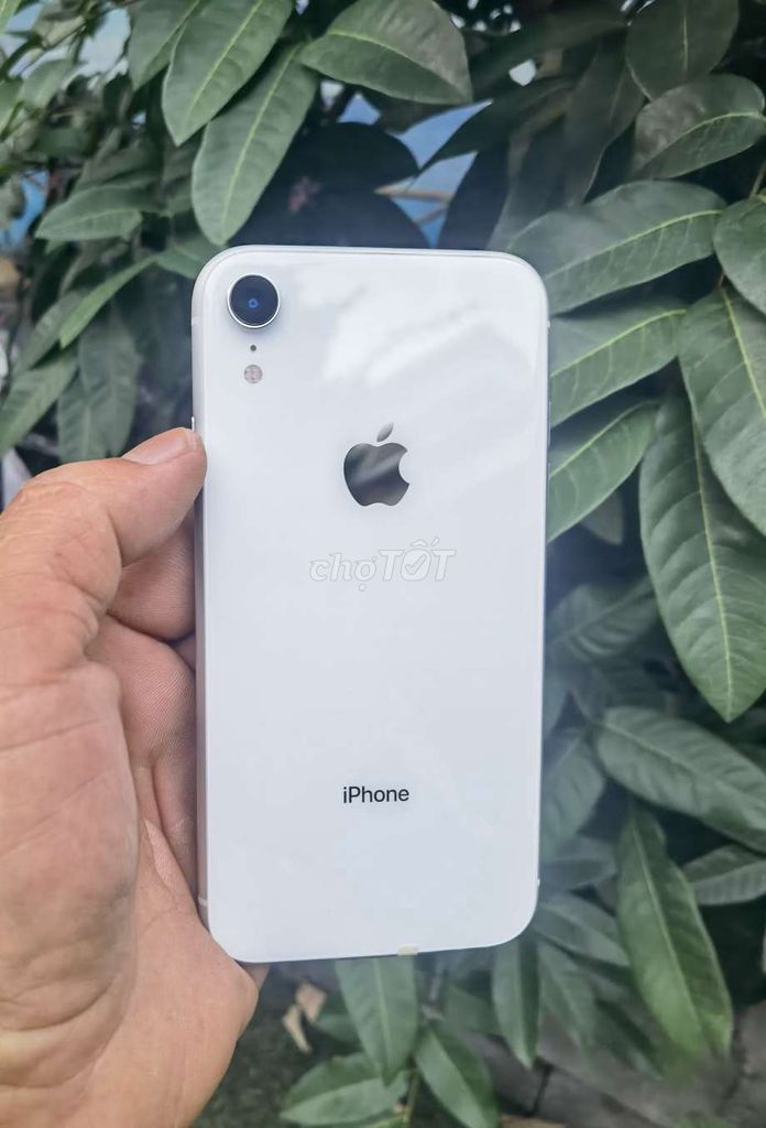 IPHONE XR 64 Gb QT . Mua bán Điện thoại tại Thành phố Vĩnh Long Vĩnh Long được đăng bởi Trao đổi trãi nghiệm hình 1