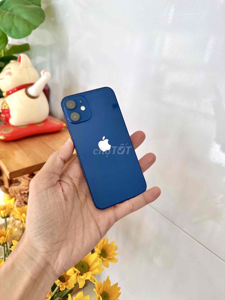 Apple iPhone 12 mini 256GB Xanh Đã sử dụng. Mua bán Điện thoại tại Thành phố Long Xuyên An Giang được đăng bởi phong LX  hình 1