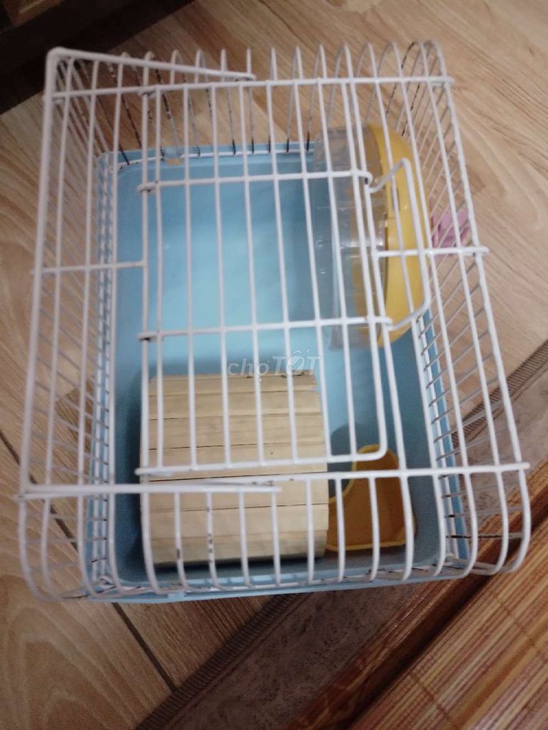 Lồng Hamster kim loại, nhựa Trắng. Mua bán Phụ kiện, Thức ăn, Dịch vụ tại Quận Ninh Kiều Cần Thơ được đăng bởi Trại Mộc Tây Đô hình 1