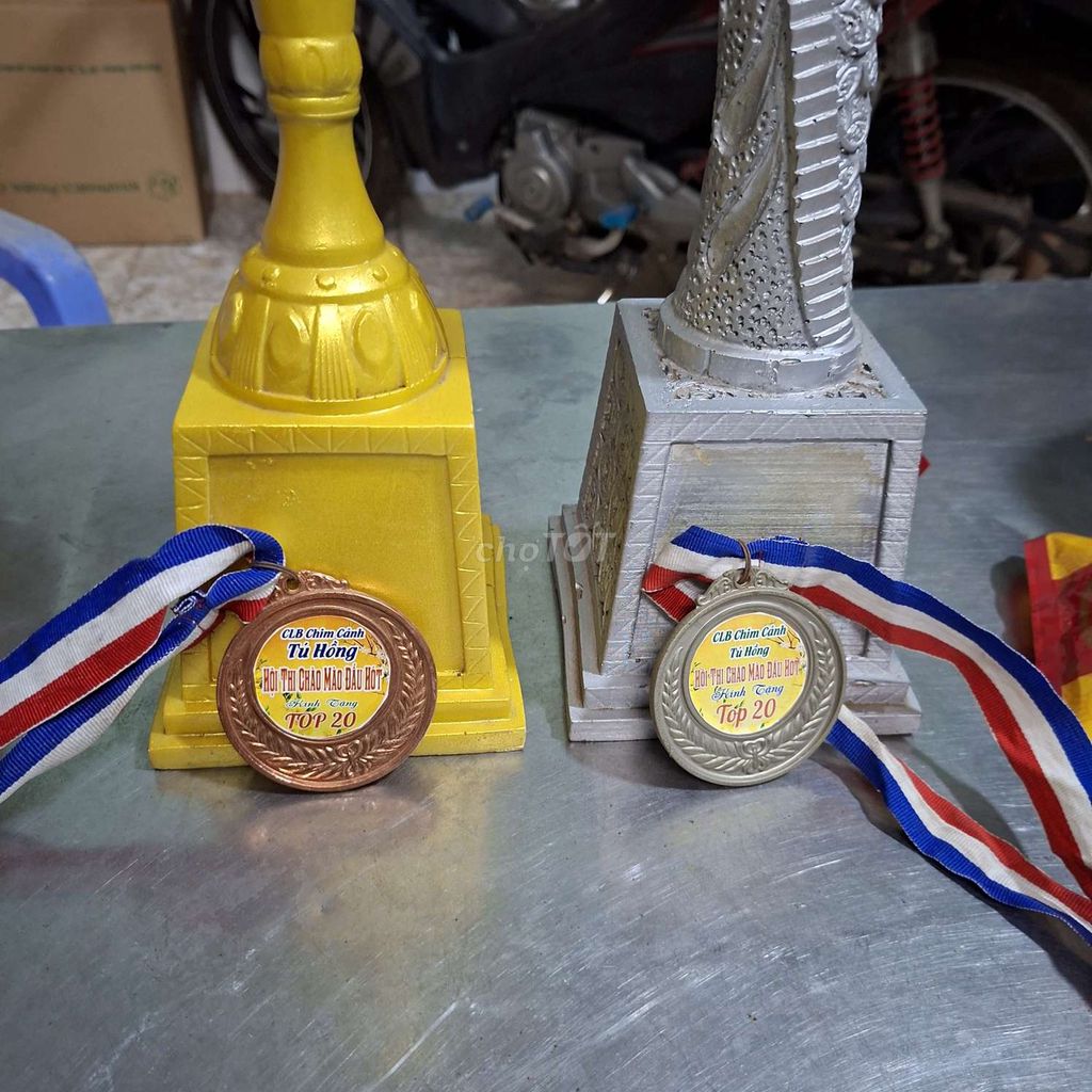 Cúp kim loại Vàng Bạc Hội thi chào mào. Mua bán Sở thích khác tại Thị xã Bến Cát Bình Dương được đăng bởi Bùi Đông hình 1