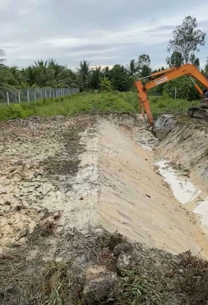 Cần cu trống bổi