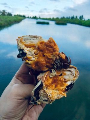 Cua Cà Mau. Mua bán Đồ ăn, thực phẩm và các loại khác tại Thành phố Thủ Dầu Một Bình Dương được đăng bởi Huỳnh Ngoan