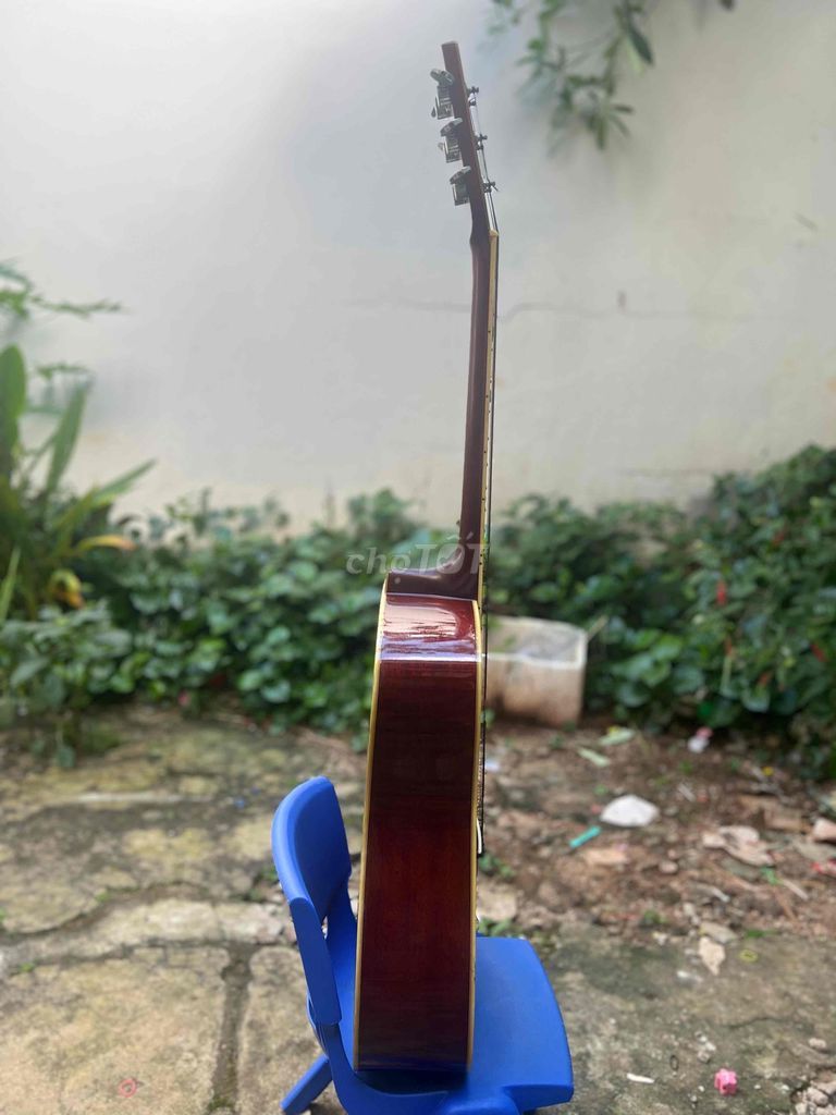 Guitar Morris W39M bản giới hạn