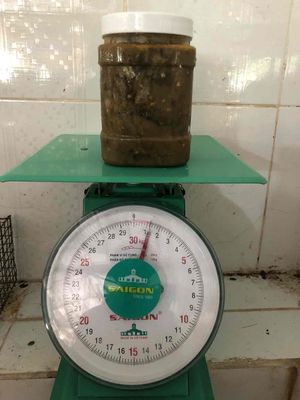 Ba khía trộn sẵn bỏ tủ lạnh ăn dần 1,1-1,3kg 1 hủ. Mua bán Đồ ăn, thực phẩm và các loại khác tại Thành phố Thủ Đức Tp Hồ Chí Minh được đăng bởi Lâm Dỉ