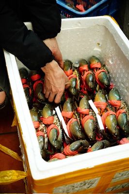 Tuyển nhân viên giao hàng