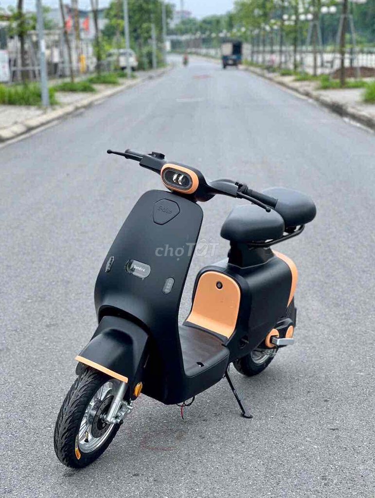 xe điện Ebike. miễn ship