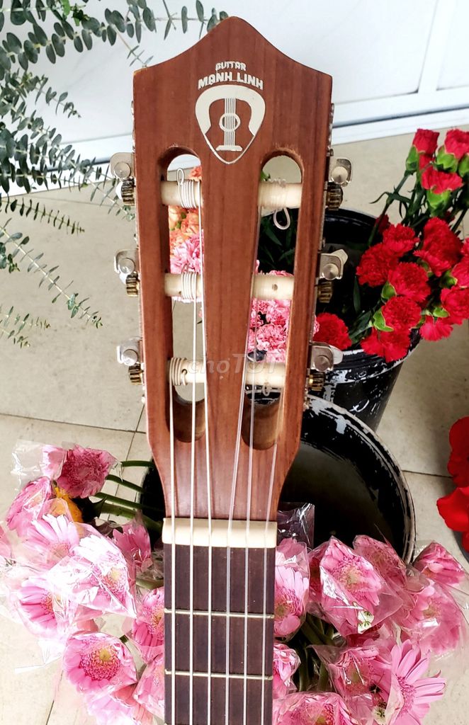 Đàn Guitar size 3/4 Classic đẹp lắm ❤