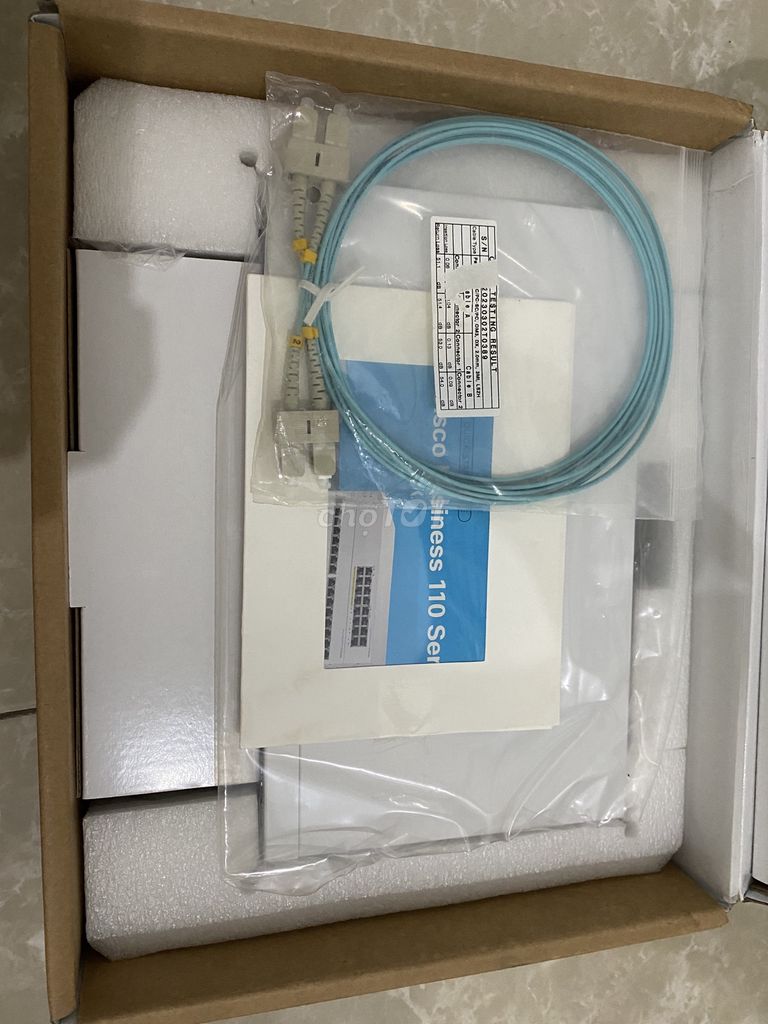 Switch cisco business 110