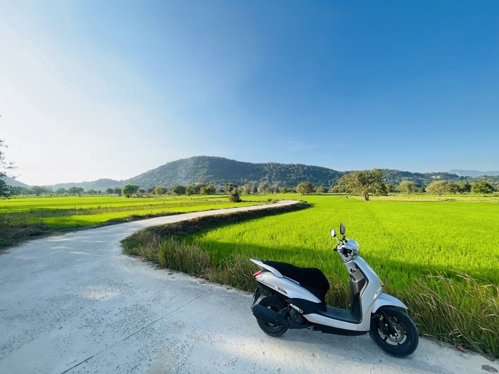 Yamaha Latte 2021
