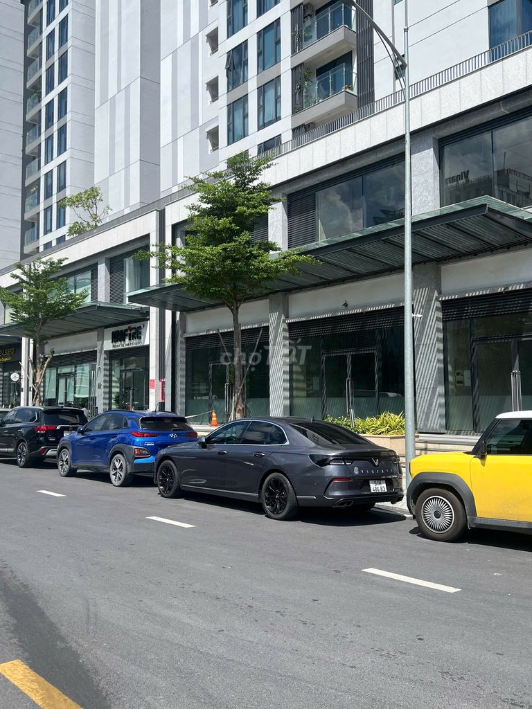 Ảnh số 5