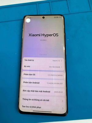 Xiaomi 12 256GB 12GB 2 sim