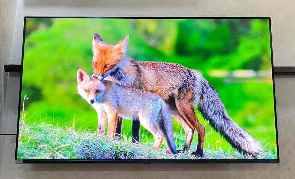 Bán LG 55 inch smart 4k nanocell giọng nói chuột b