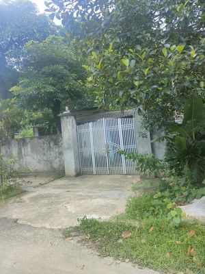 Cho thuê đất và nhà lâu dài, Khu Vôi, Ba Hàng Đồi, Lạc Thủy, Hoà Bình. Cho thuê nhà ở tại Huyện Lạc Thủy Hòa Bình được đăng bởi A. Quang
