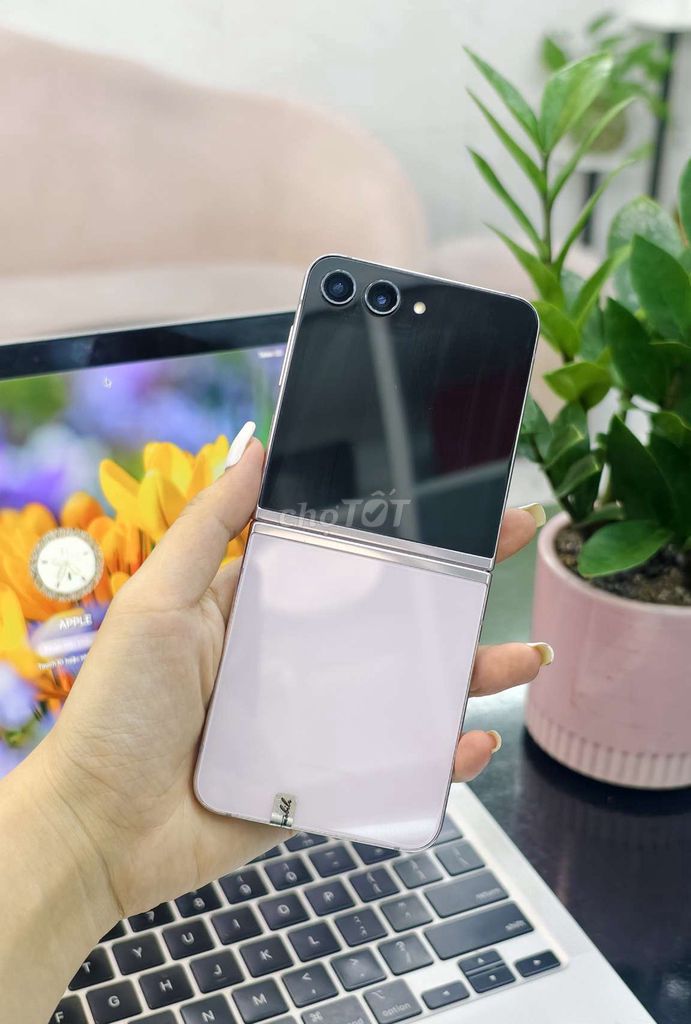 Samsung Z Flip5 256GB Tím 99% Vn. Mua bán Điện thoại tại Quận 10 Tp Hồ Chí Minh được đăng bởi D2Tmobile hình 1
