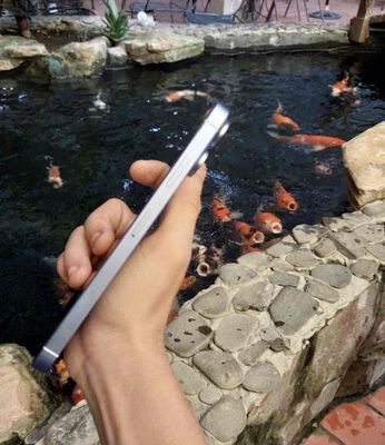 xsm vỏ độ icloud ẩn. Mua bán Điện thoại tại Quận Ninh Kiều Cần Thơ được đăng bởi aecw