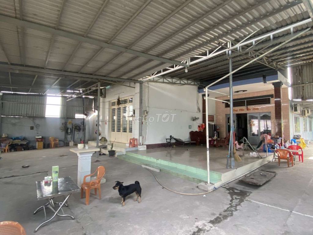 nhà ở mặt tiền đường Bùi Thị Lùng, Hóc Môn, 1600m2