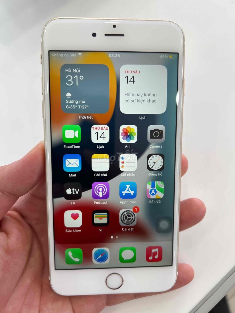 Apple iPhone 6S Plus 64GB Vàng Quốc tế. Mua bán Điện thoại tại Thành phố Mỹ Tho Tiền Giang được đăng bởi Hoàng Giang hình 1