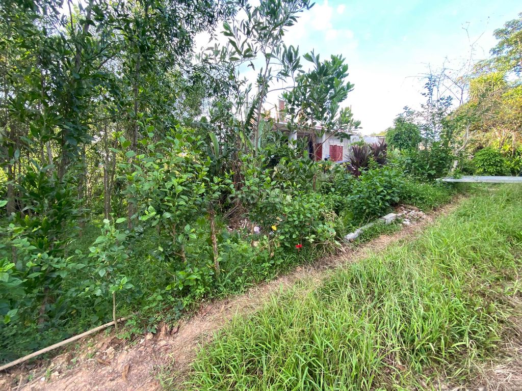 Hyundai Verna 2009 1.4 MT - 190000 km. Mua bán Ô tô tại Thành phố Đông Hà Quảng Trị được đăng bởi Trần Văn Hoàng hình 8