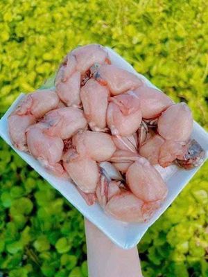 Đùi ếch. Mua bán Đồ ăn, thực phẩm và các loại khác tại Quận Thanh Khê Đà Nẵng được đăng bởi Ms Phương