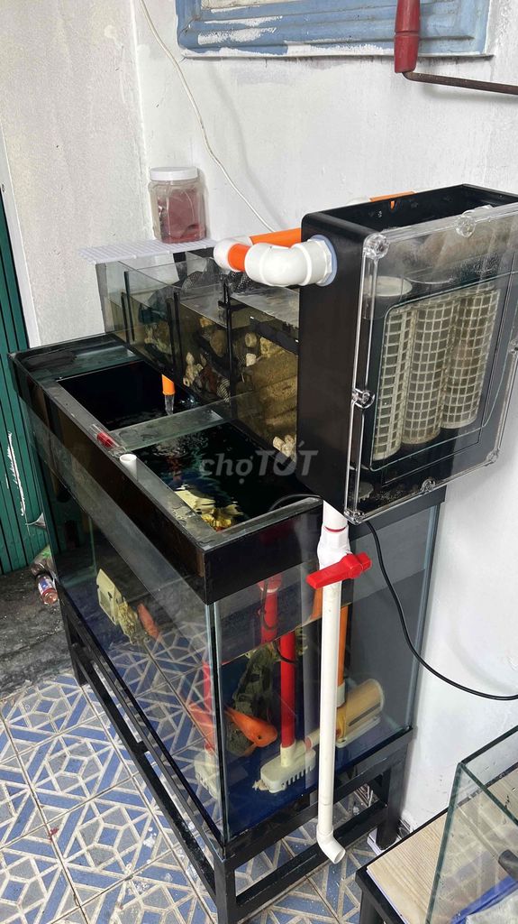 Bể cá cảnh 80x40x60cm lọc tràn trên. Mua bán Phụ kiện, Thức ăn, Dịch vụ tại Quận Tân Phú Tp Hồ Chí Minh được đăng bởi Thanh hình 1