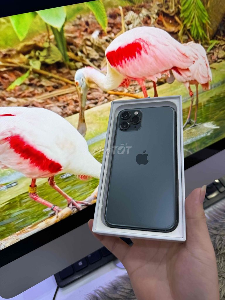 iPhone 11 Pro 64GB Xám quốc tế mỹ pin 100%. Mua bán Điện thoại tại Quận 3 Tp Hồ Chí Minh được đăng bởi Nam Á Mobile hình 1