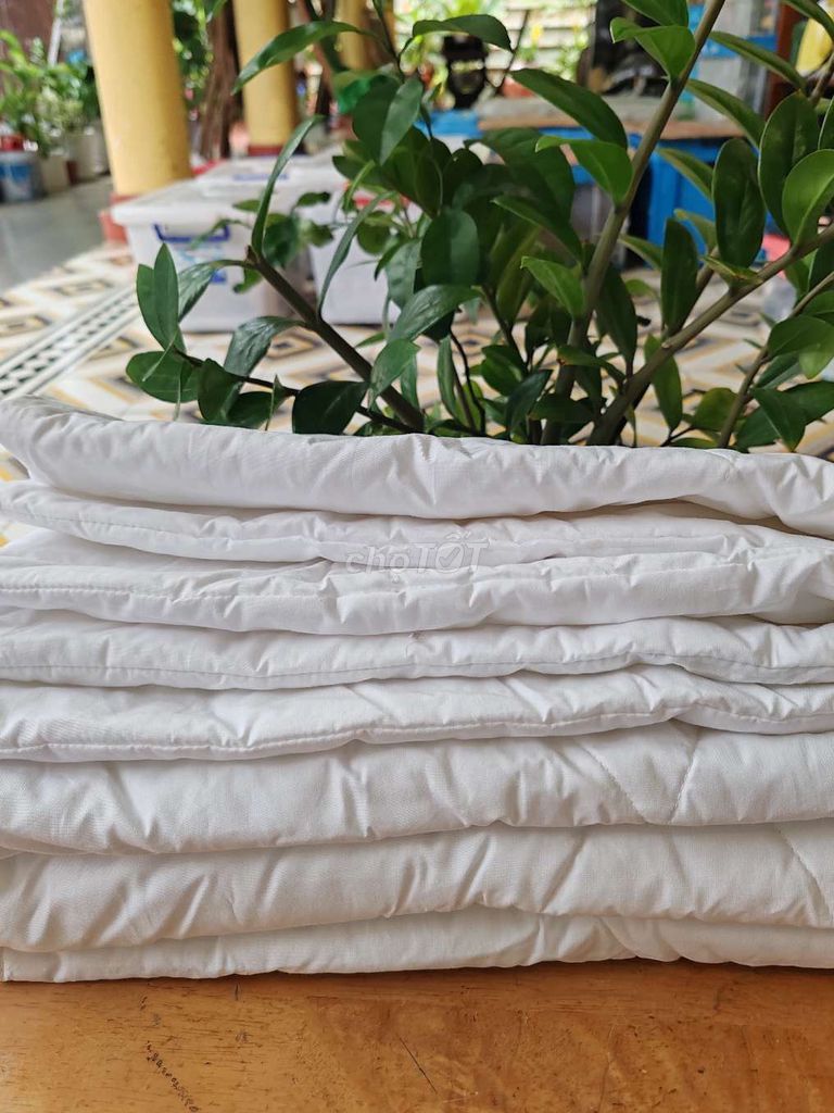 Chăn mền Katê Nhật Trắng đục 1m x 2m. Mua bán Giường, chăn ga gối nệm tại Quận 7 Tp Hồ Chí Minh được đăng bởi Vy Vy hình 1