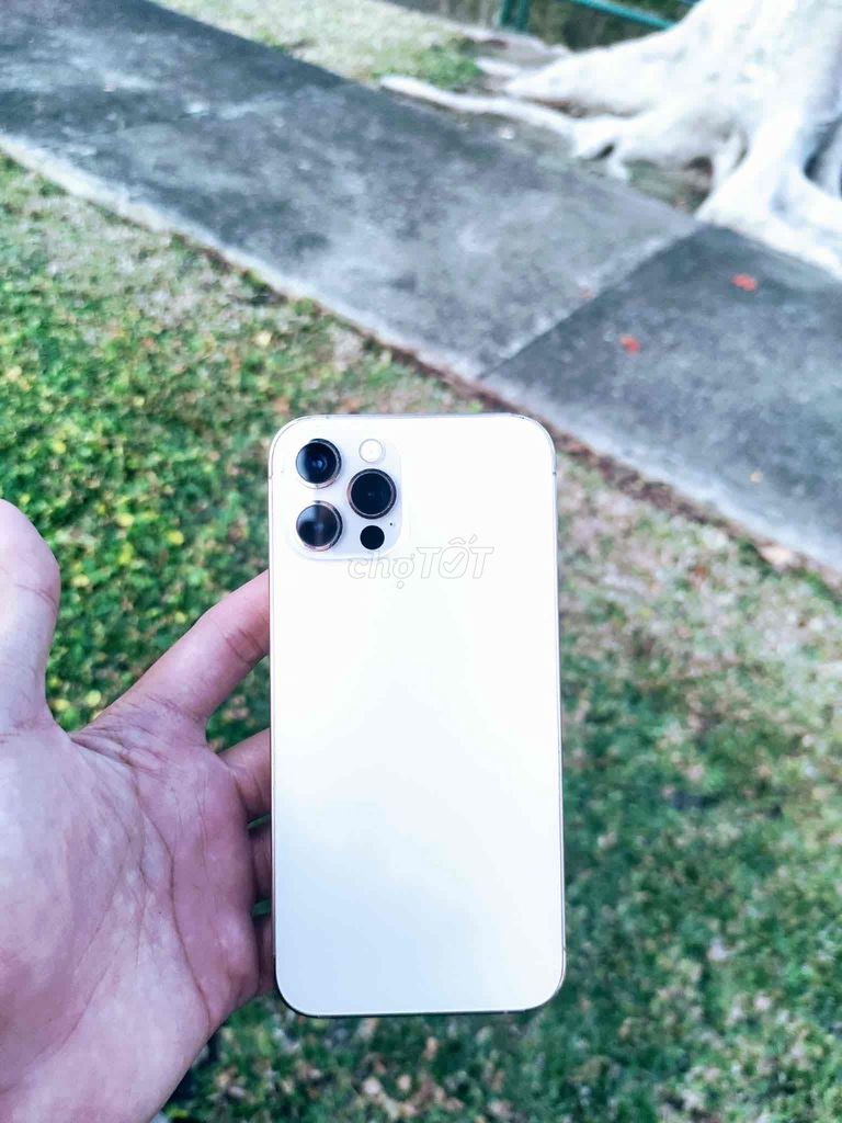 iPhone 12 Pro 512GB Vàng. Mua bán Điện thoại tại Thành phố Thuận An Bình Dương được đăng bởi lộc phạm hình 1