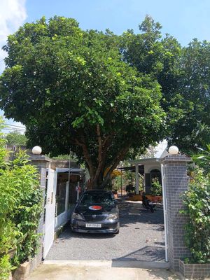 BÁN NHÀ VƯỜN NGHỈ DƯỠNG 445.6m² – NHÀ ĐẸP, 100m² THỔ CƯ
