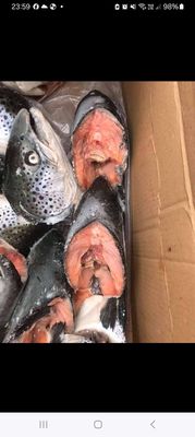 Thuc pham dong lanh. Mua bán Đồ ăn, thực phẩm và các loại khác tại Huyện Bình Chánh Tp Hồ Chí Minh được đăng bởi nguyen thanh vu