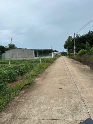 Chính chủ tôi bán 280m2 thổ giá 395tr Ngay Sau chợ An Linh, TPHCM mới. Mua bán đất tại Huyện Phú Giáo Bình Dương được đăng bởi Trần Quốc Kiệt