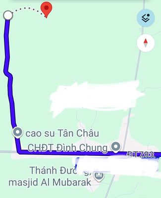 đất trồng cây lâu năm phân nên cách 100m là đường lớn ĐT783.