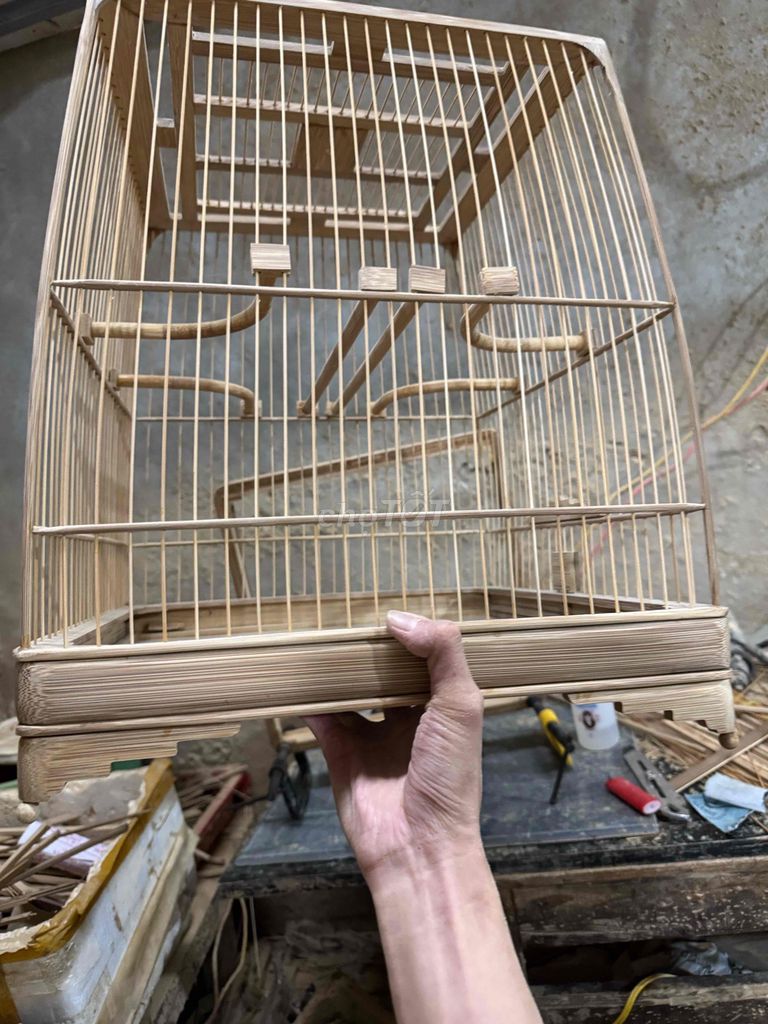 Lồng chim tre 36.5 Mộc. Mua bán Chim tại Quận Liên Chiểu Đà Nẵng được đăng bởi mmtri hình 1