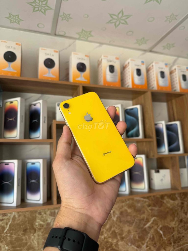 Iphone Xr 64gb Qte Zin Full chức năng Pin 100%. Mua bán Điện thoại tại Quận Ninh Kiều Cần Thơ được đăng bởi PHỤNG PRO MOBILE CAN THO hình 1