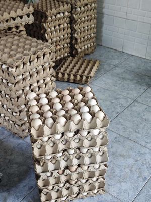 Trứng gà ri ( gà ác ) tại trại ( có trứng so ). Mua bán Đồ ăn, thực phẩm và các loại khác tại Quận Bình Tân Tp Hồ Chí Minh được đăng bởi Hoàng Kha