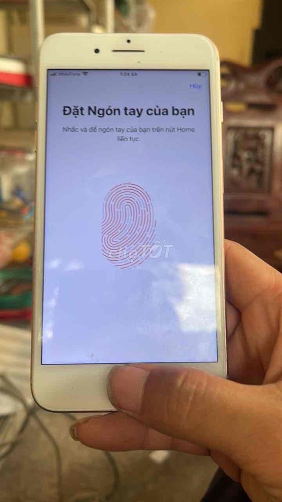 Apple iPhone 8 Plus 64GB Vàng hồng. Mua bán Điện thoại tại Huyện Tam Dương Vĩnh Phúc được đăng bởi tran thu hình 1